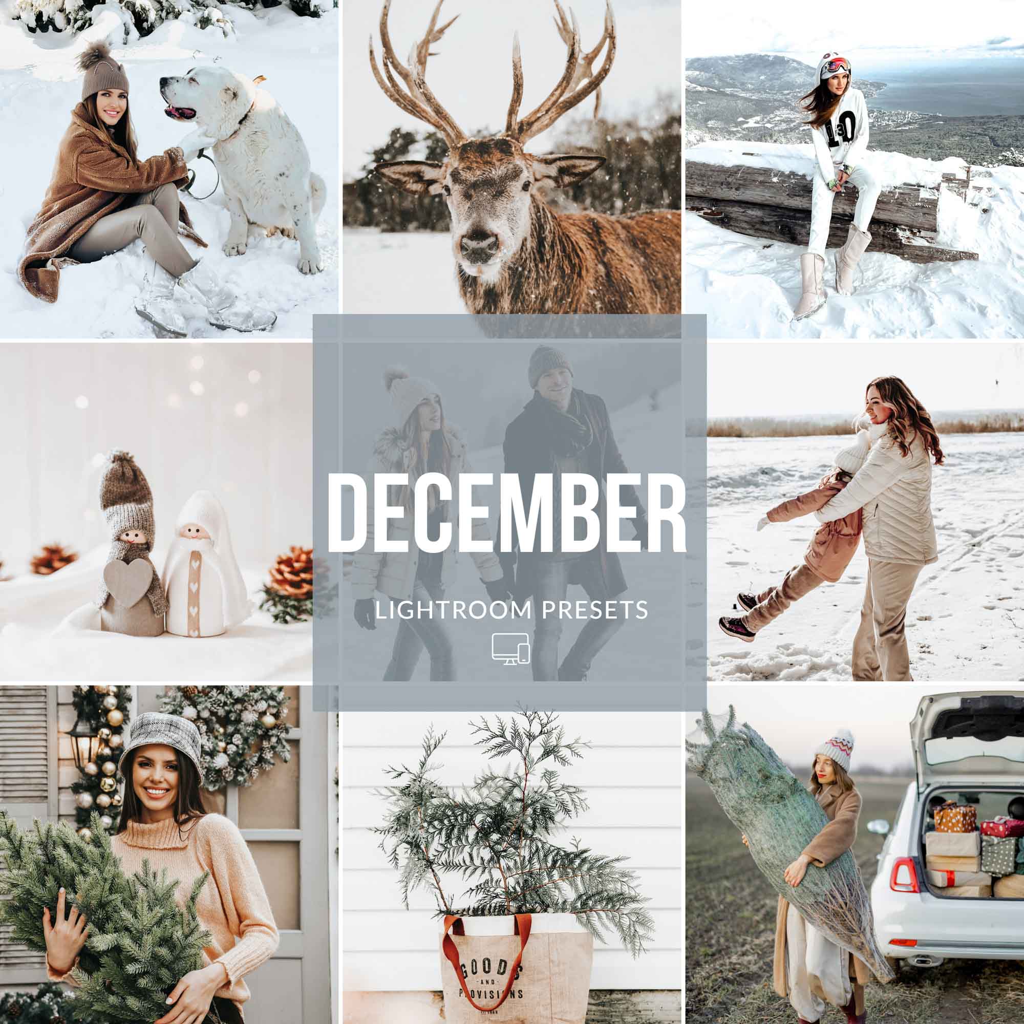 DECEMBER LIGHTROOM PRESETS