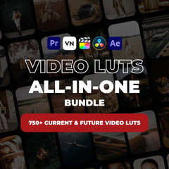 All-In-One Video LUTs Bundle (750+ LUTs)