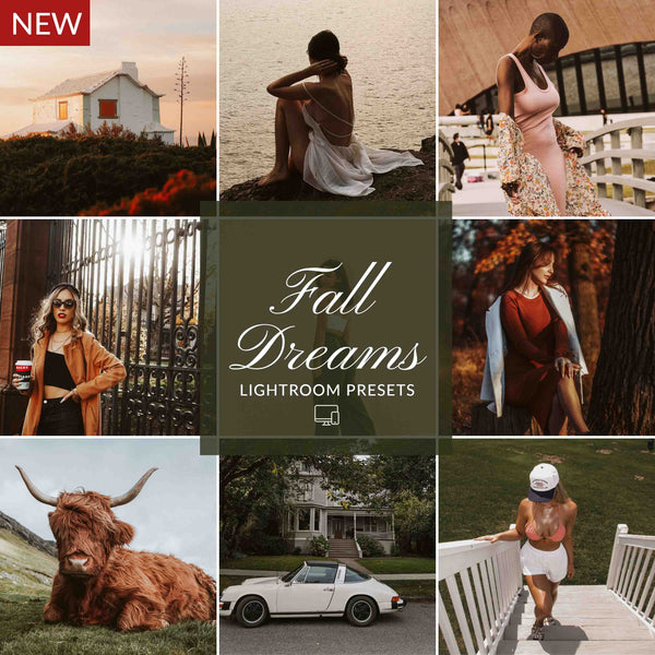 FALL DREAMS LIGHTROOM PRESETS