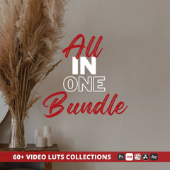 All-In-One Video LUTs Bundle by 123presets: the complete LUT library, sixty collections