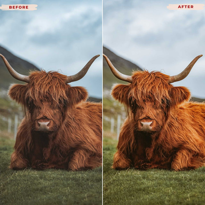 Ai-Optimized NOMAD HUES LIGHTROOM PRESETS