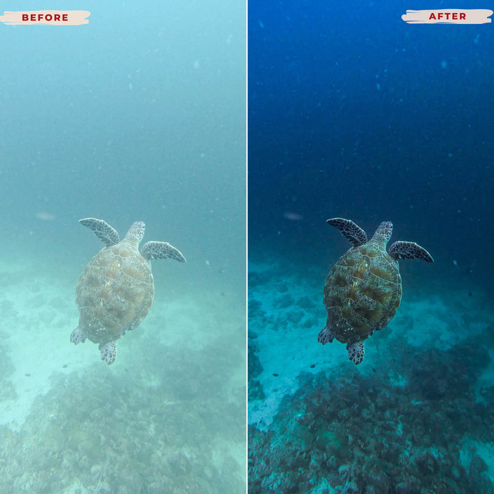 Ai-Optimized UNDERWATER LIGHTROOM PRESETS