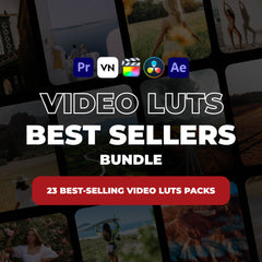 Best-Sellers Video LUTs Bundle (300+ LUTs)