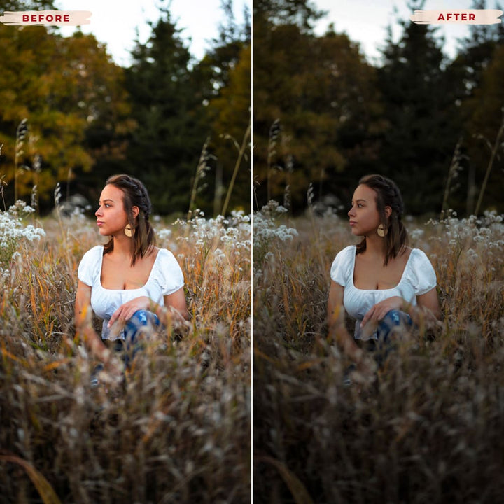 Ai-Optimized 1960's VINTAGE LIGHTROOM PRESETS