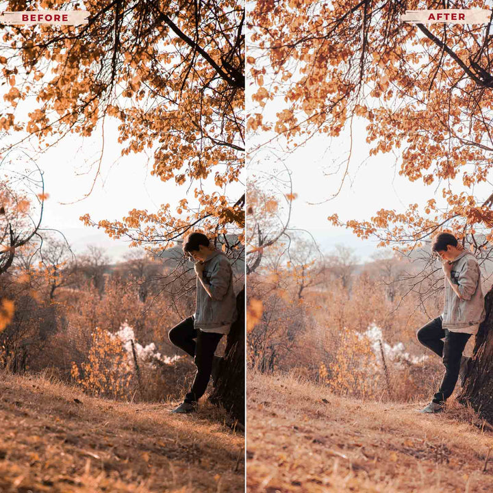 Ai-Optimized AUTUMN LEAVES LIGHTROOM PRESETS