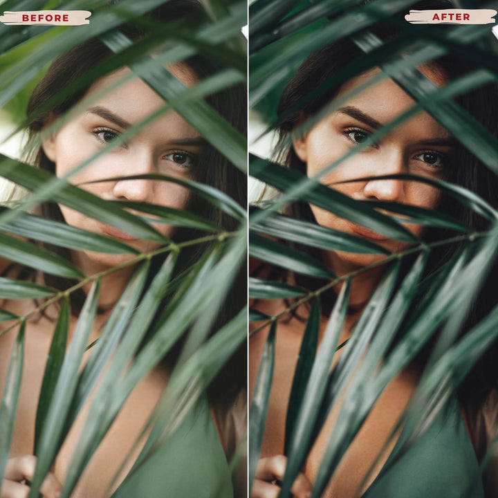 AVOCADO LIGHTROOM PRESETS from 123presets