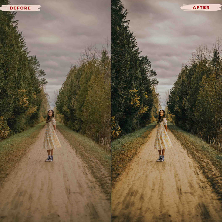 Ai-Optimized COHESIVE VIDEO LUTS (MOBILE & DESKTOP)