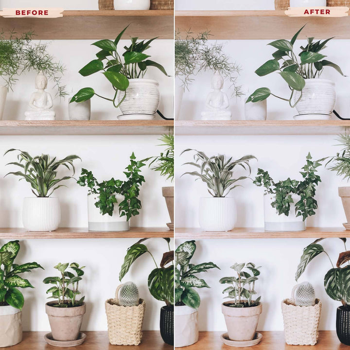 Ai-Optimized INDOOR MAGIC LIGHTROOM PRESETS