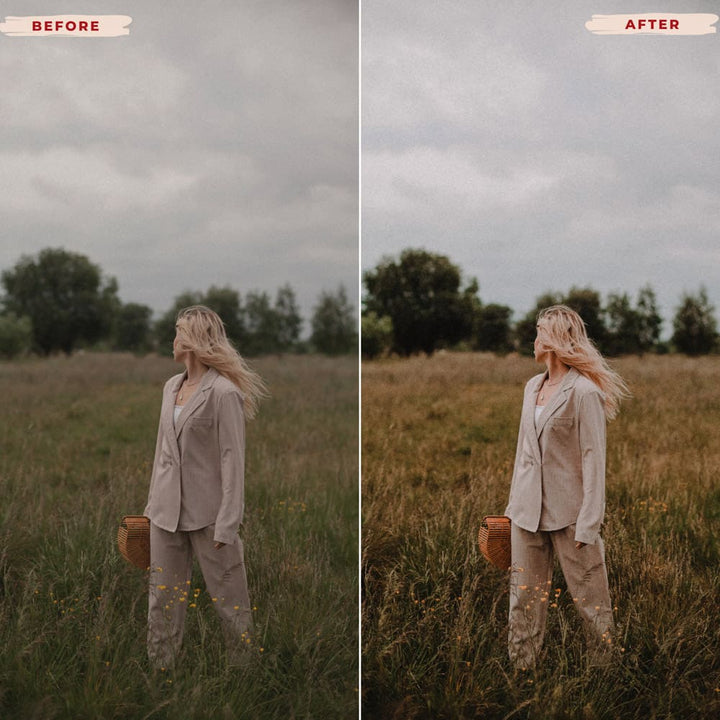 Ai-Optimized RUSTIC FIELDS LIGHTROOM PRESETS