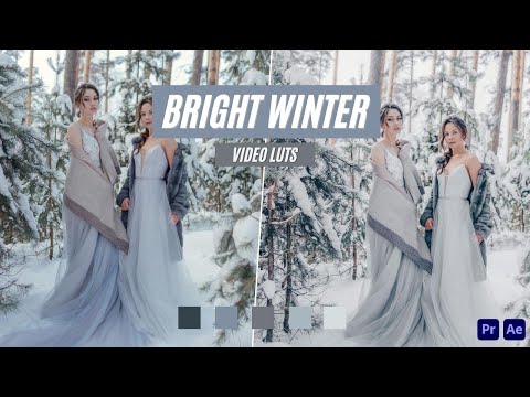 Ai-Optimized BRIGHT WINTER LUTS (MOBILE & DESKTOP)
