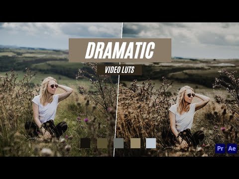 Ai-Optimized DRAMATIC VIDEO LUTS (MOBILE & DESKTOP)